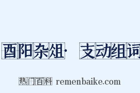 酉阳杂俎·支动组词是什么意思的图片
